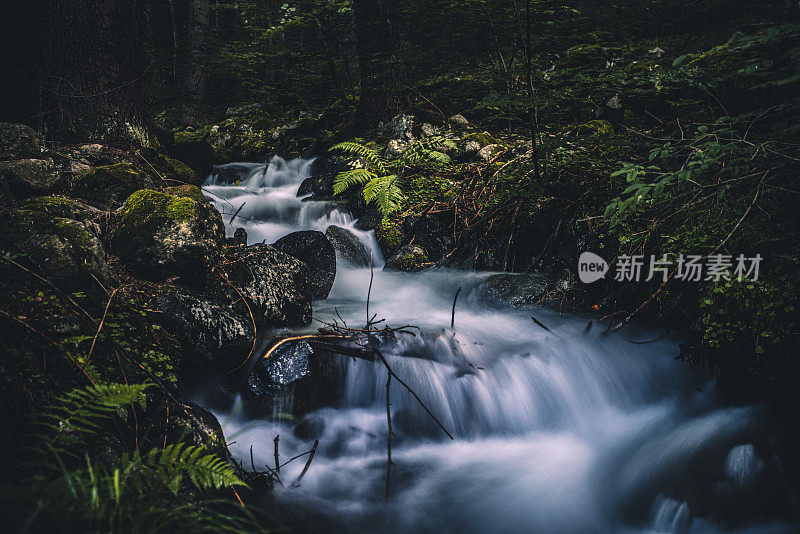 瀑布般的水流在森林中流淌