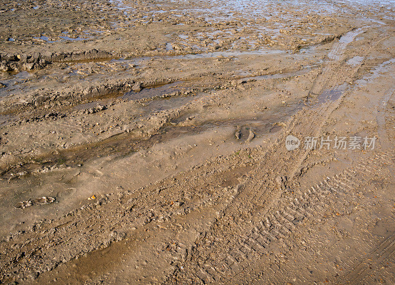 诺福克布兰克斯特岛一条小溪退潮时的烂泥