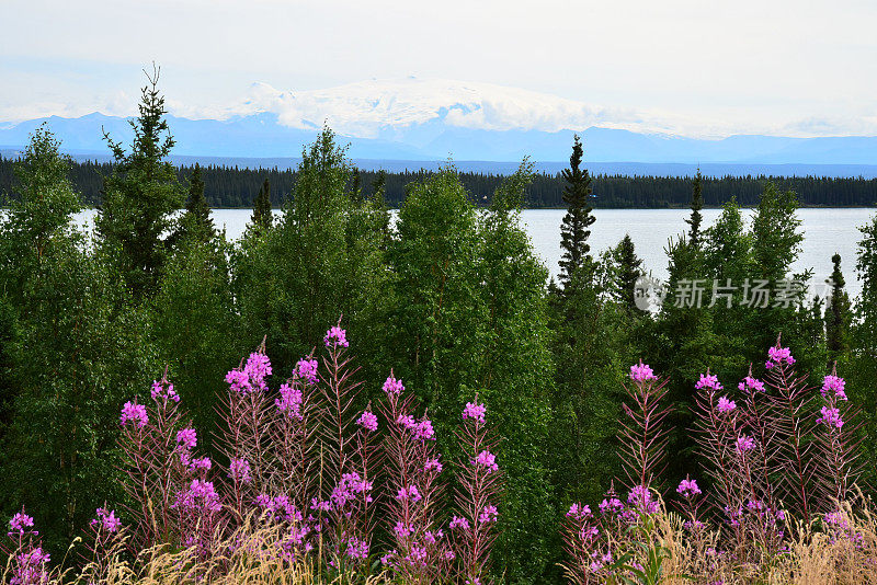 弗兰格尔山和火草山