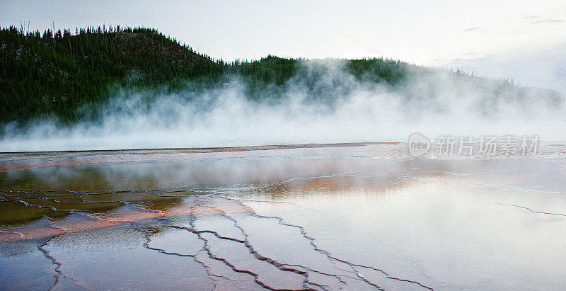 在怀俄明州黄石国家公园的森林附近，大棱柱形温泉的热水冒着热气