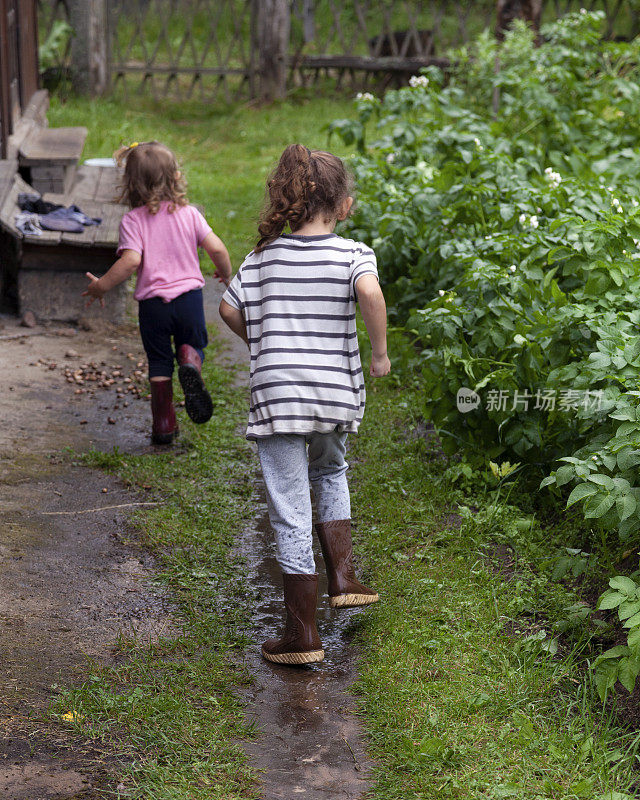 孩子们在后院的水坑里奔跑的后视图