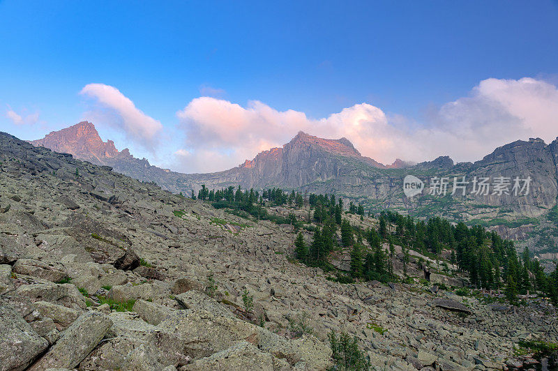 针叶林。西伯利亚。早上山景观