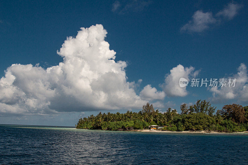 热带岛屿，梦想海滩的棕榈树