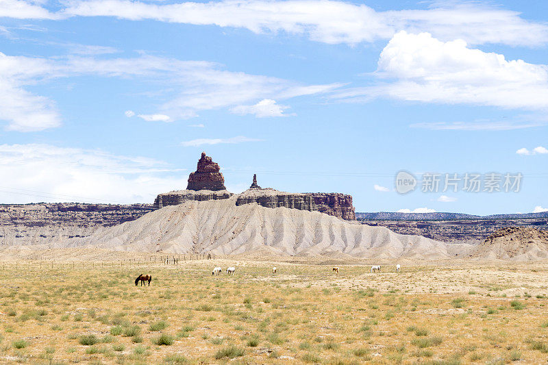 野马在一个干旱的环境中放牧在前面的高大的岩石尖塔和地层