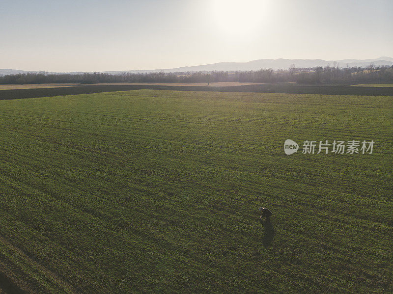 一个成年的农民在他的农场里在早春的时候耕种田地。鸟瞰图。