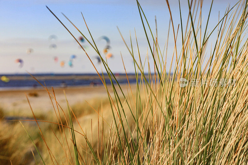 在海牙附近的北海Kijkduin，风筝冲浪者失去了焦点