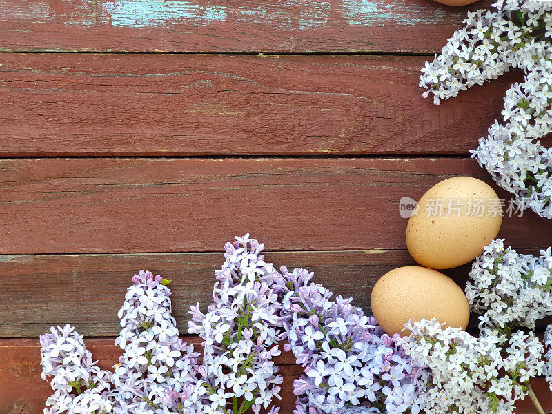 两个棕色的家禽蛋和丁香花在老红木纹理的背景。春季和复活节概念，花边框或框架。复活节公寓，拷贝空间。