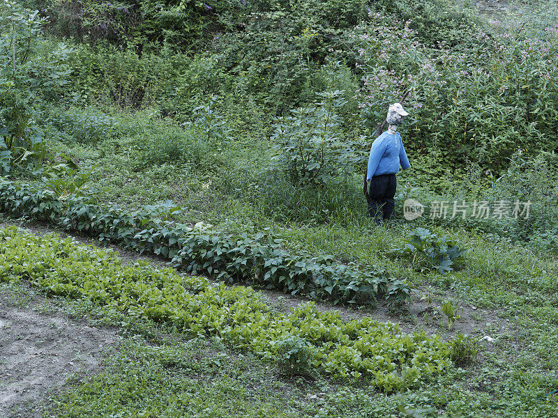 稻草人