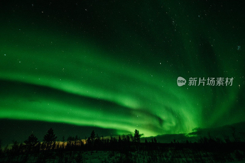 北极光在夜空中，山峦和云杉的轮廓