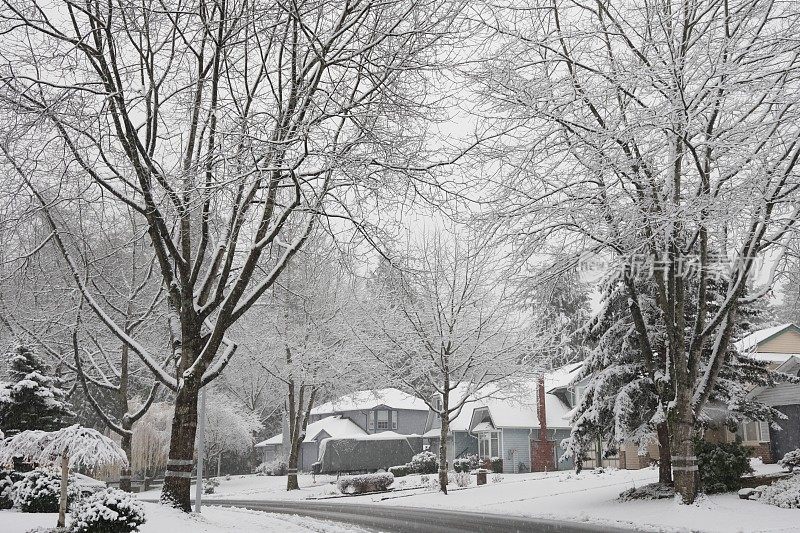 加拿大萨里郡绿树成荫的社区的雪