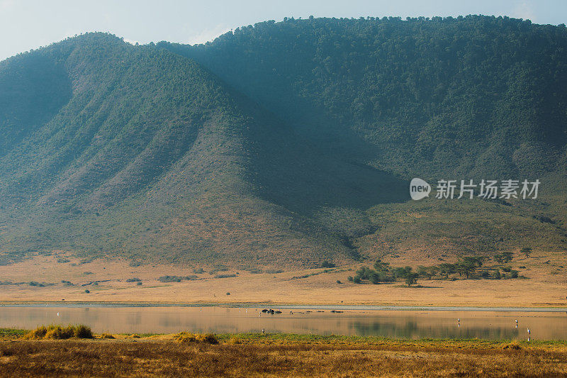 清晨漫步在坦桑尼亚恩戈罗恩戈罗火山口的湖边，观赏野生动物的美景