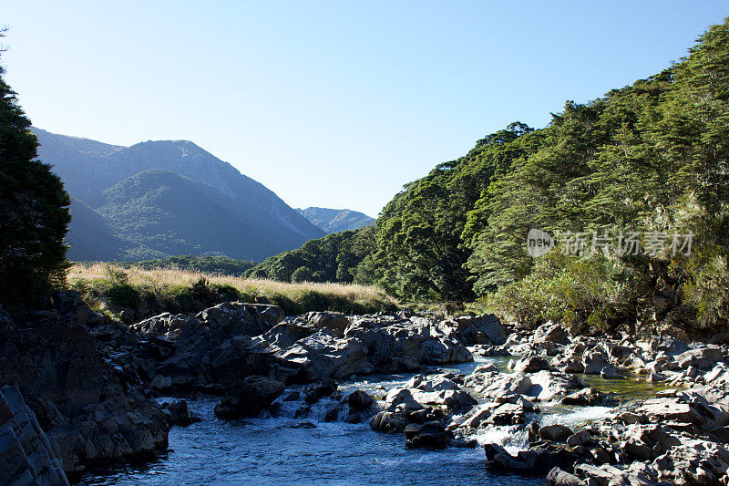 新西兰的科布山谷河流和露营地景观
