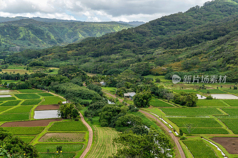 夏威夷考艾岛的哈纳雷山谷