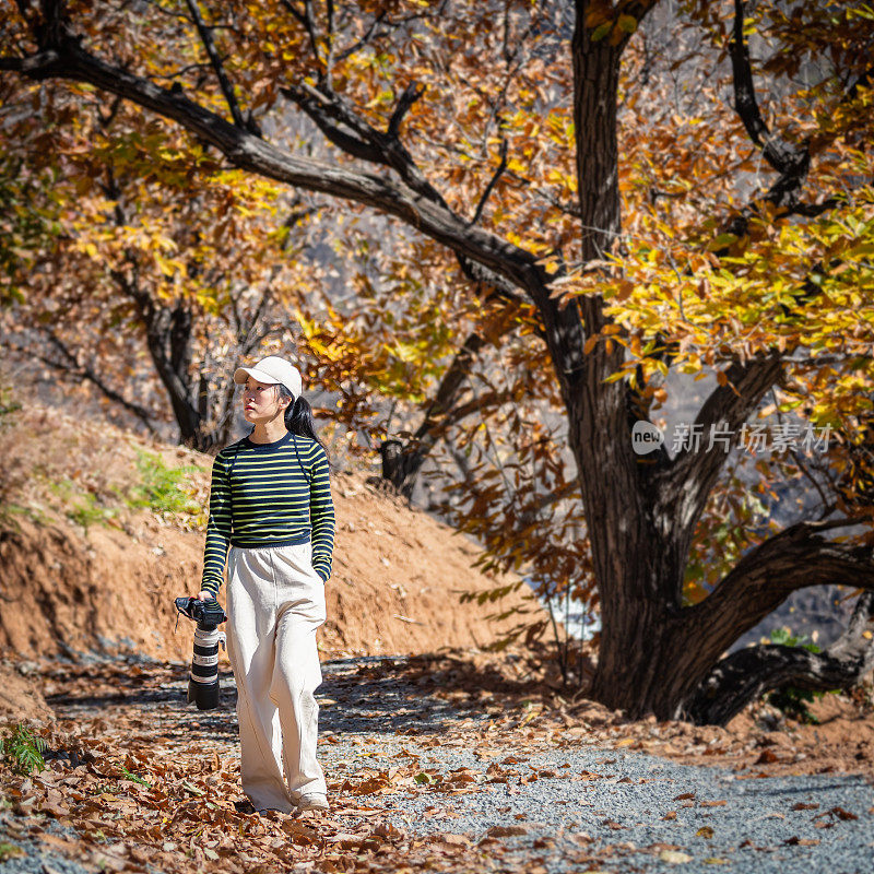 女摄影师走在秋天的树林里