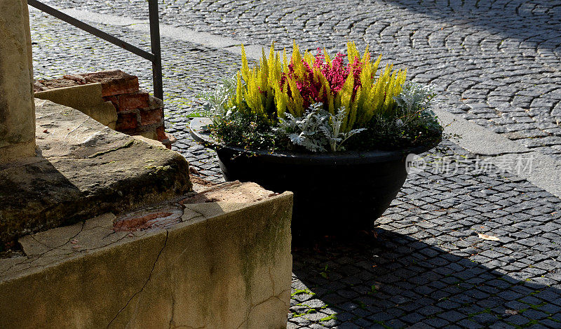 灰色花盆是在广场或公园的街道上放置的一种多年生植物开花的平面花盆。用钢筋，混凝土，鼠尾草，石南做成的路障