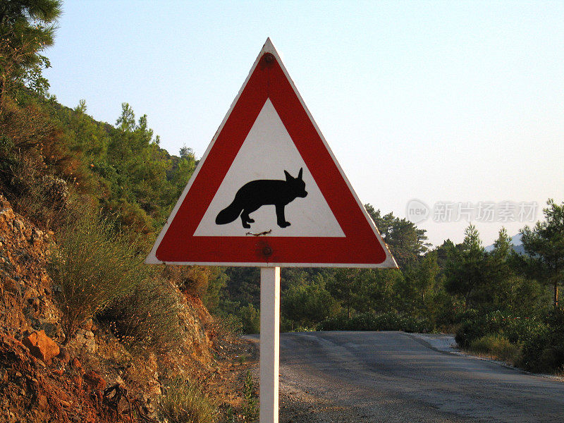 高速公路旁的狐狸十字标志