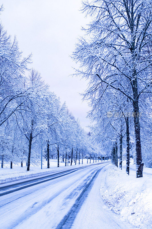 冬季景观，城市道路上的积雪和道路两旁的树木。