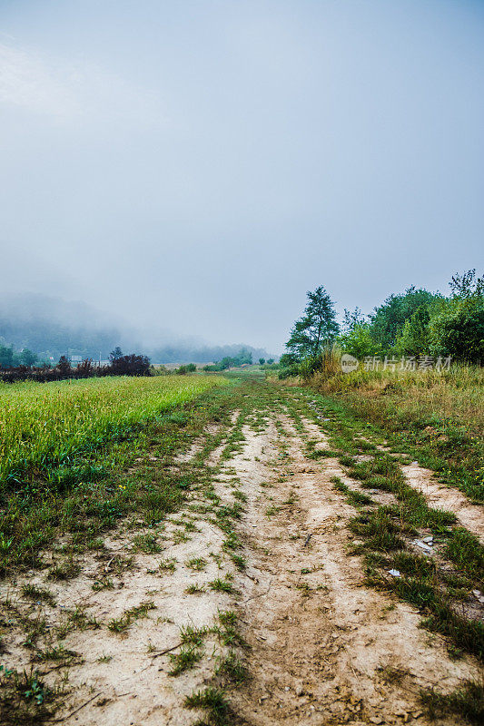大雾弥漫的清晨，一座大山上的乡间小路。雾蒙蒙的夏日清晨，在山区和一个小村庄。山中的乡间小路。喀尔巴阡山。Polyana。乌克兰