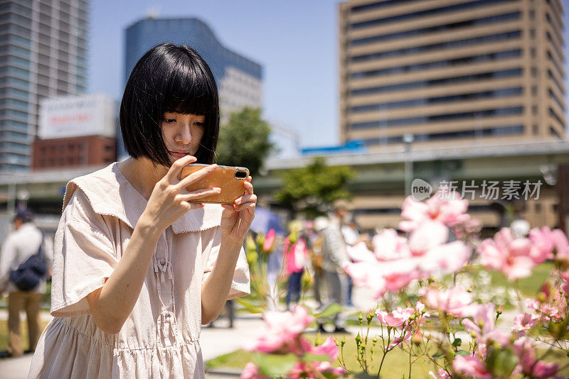 一名女子在城市玫瑰园给花拍照