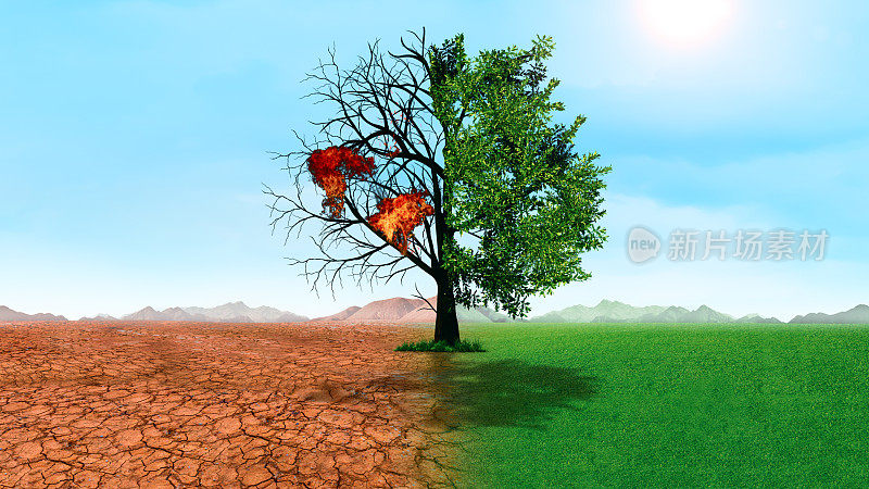 半活半死的树矗立在景观的区域，气候的概念发生了变化，全球变暖
