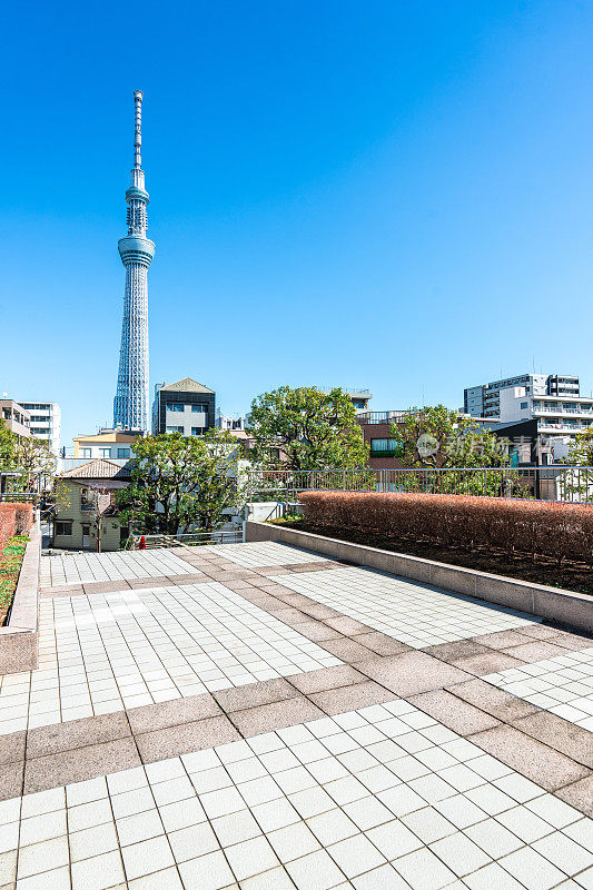 东京天空树位于东京镇的街道上，当天空晴朗时，日本