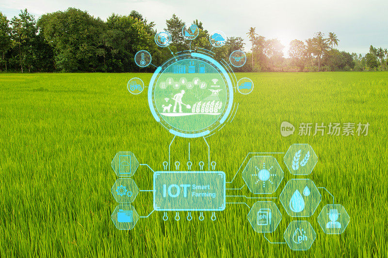 智能农业和精准农业产业利用现代技术发展他的农场，以提高未来的生产力。