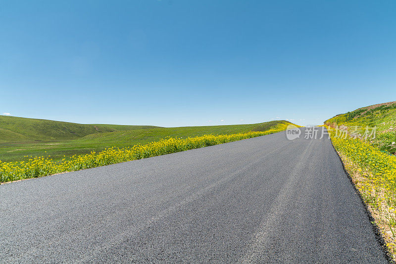 穿越草原的道路