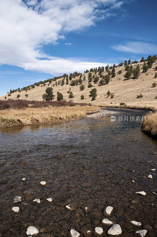 科罗拉多州落基山脉的鳟鱼溪