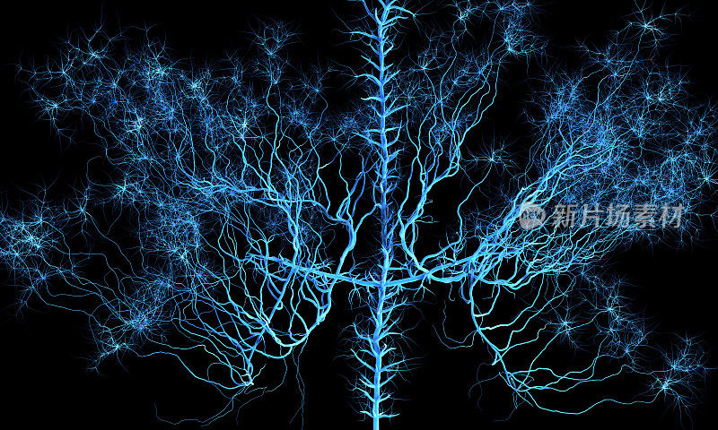 抽象的神经网络。