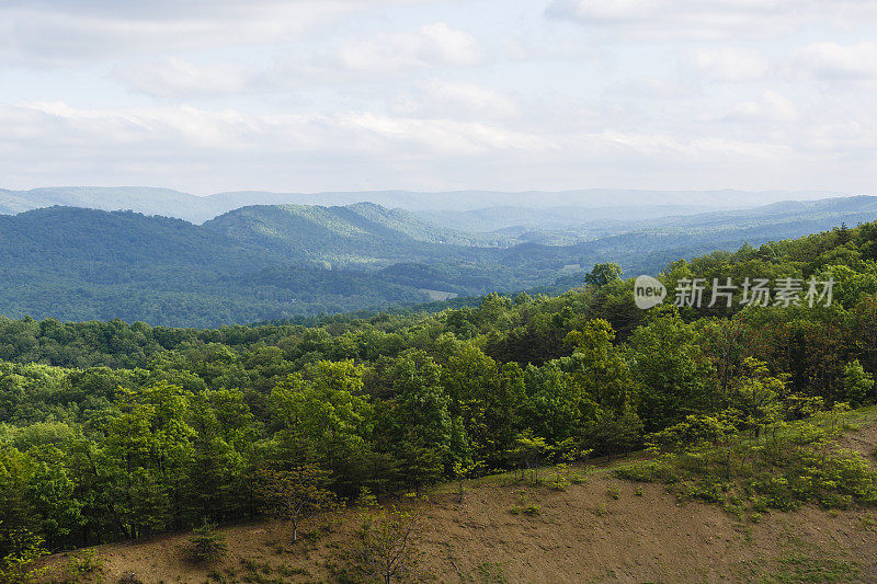 蓝岭山脉的朦胧晨景