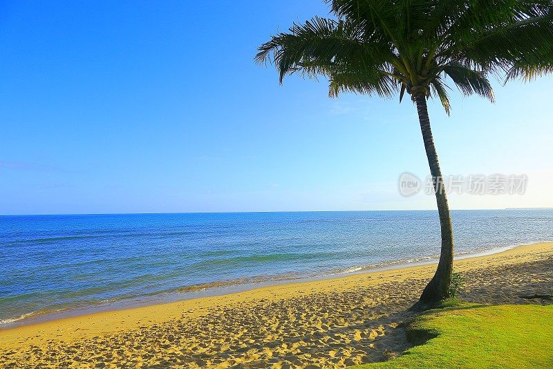 天堂:Trancoso田园诗般的热带海滩，巴伊亚州，巴西东北部