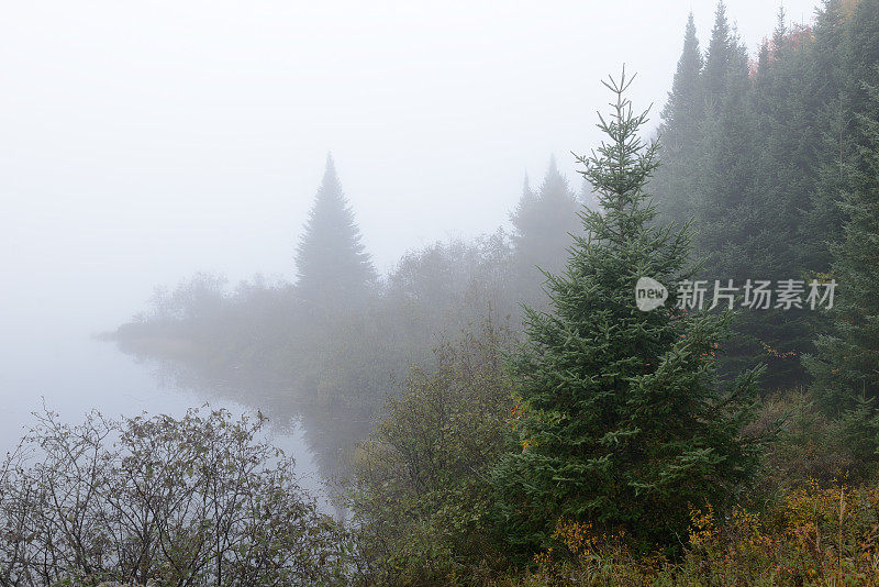 蒙特・特朗国家公园在多雾的秋天早晨