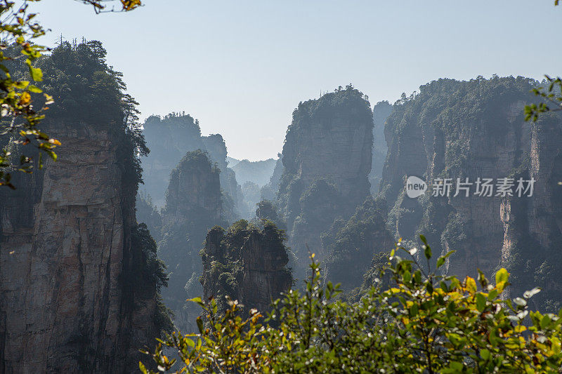 砂岩柱，张家界国家森林公园，中国