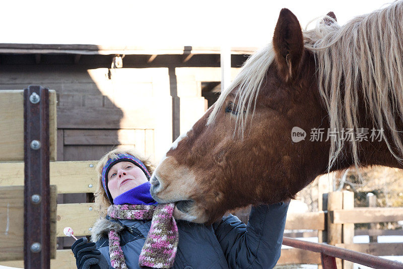 马咬了一个女人的围巾，使她大吃一惊