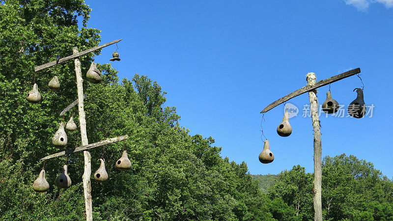 葫芦鸟屋悬挂在自制的木杆，山区景观
