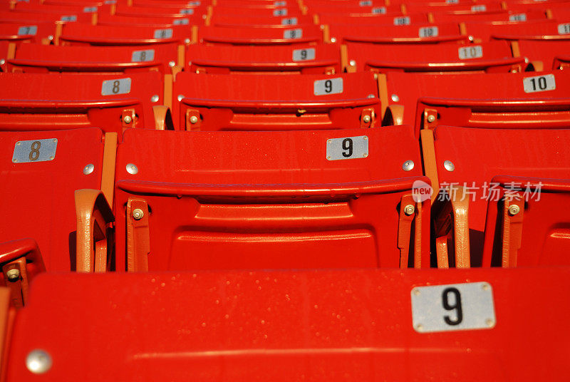 红色体育场座位