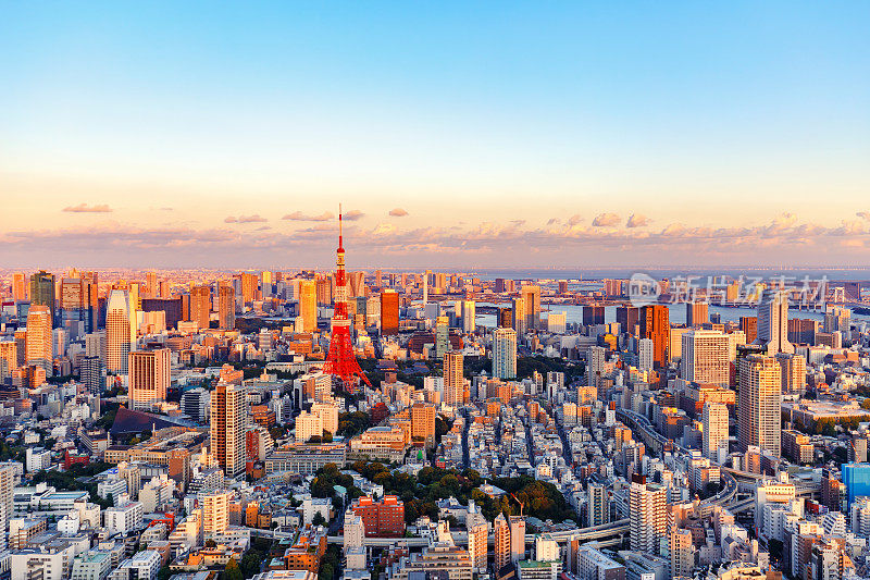 东京，日本，东京塔的天际线