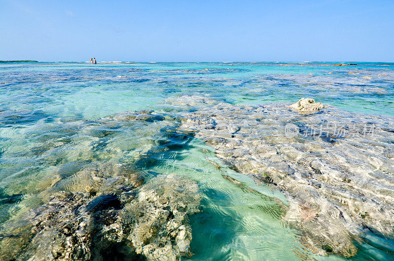 热带岛屿上的珊瑚礁