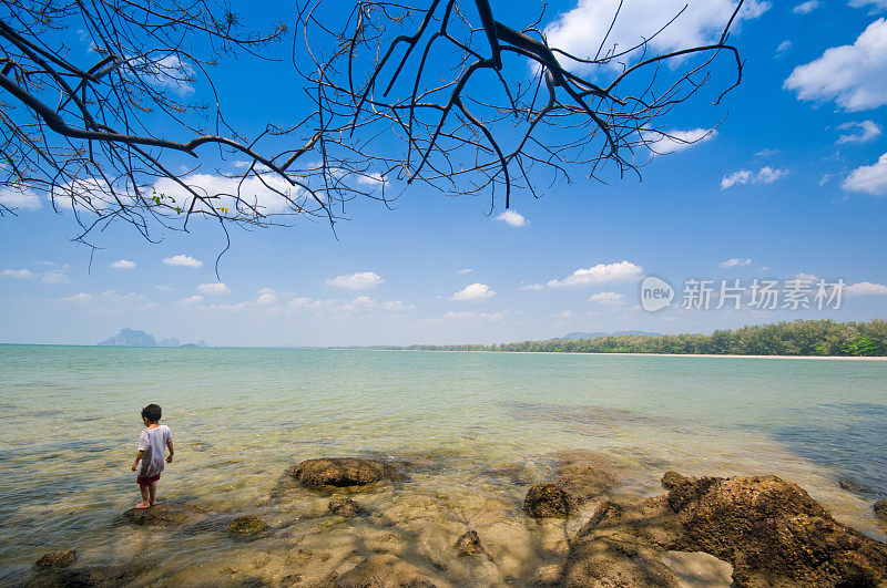 美丽的海滩和热带海洋