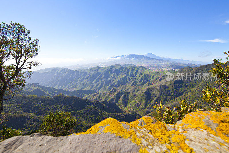 特内里费，加那利群岛，阿纳加山脉，西班牙