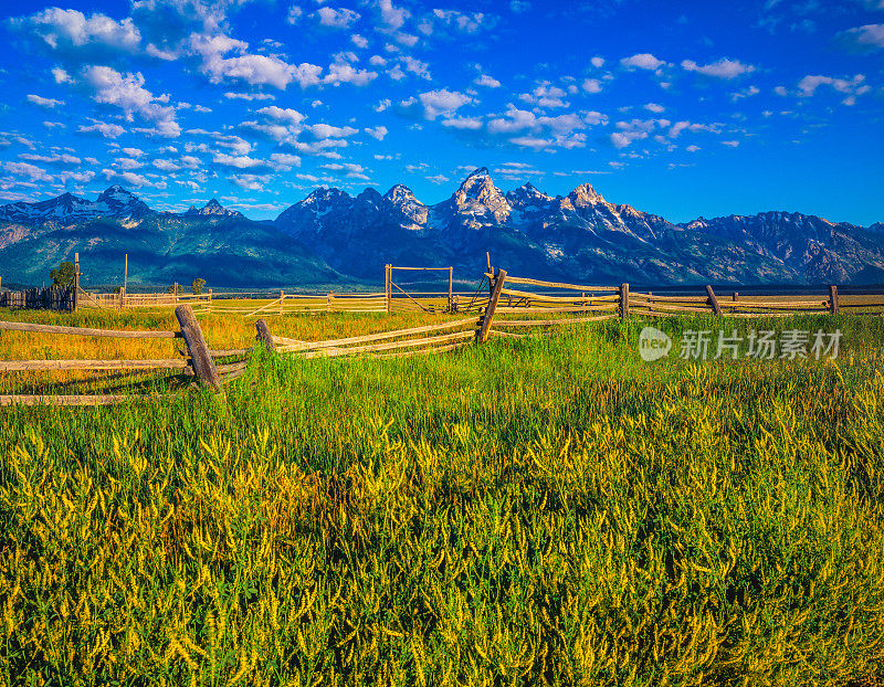 春天的早晨，大提顿国家公园草地，WY