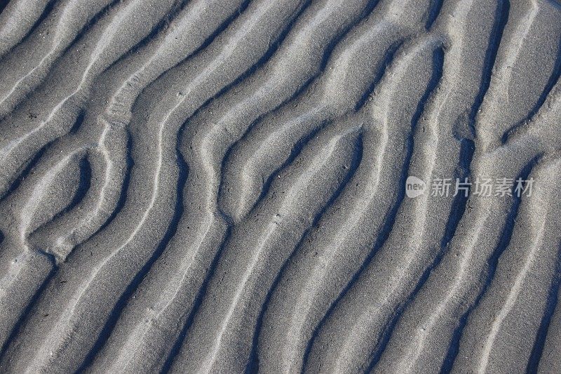 沙波纹特写