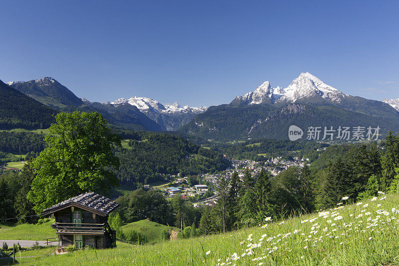 阿尔卑斯山田园般的夏日景色