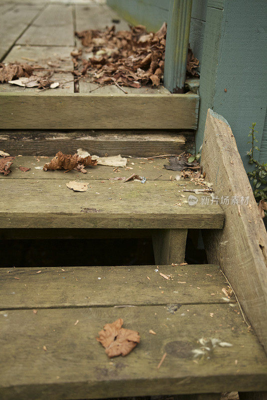带有树叶的旧木楼梯