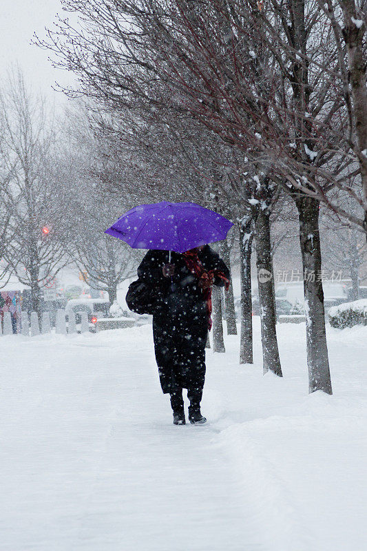 暴风雪