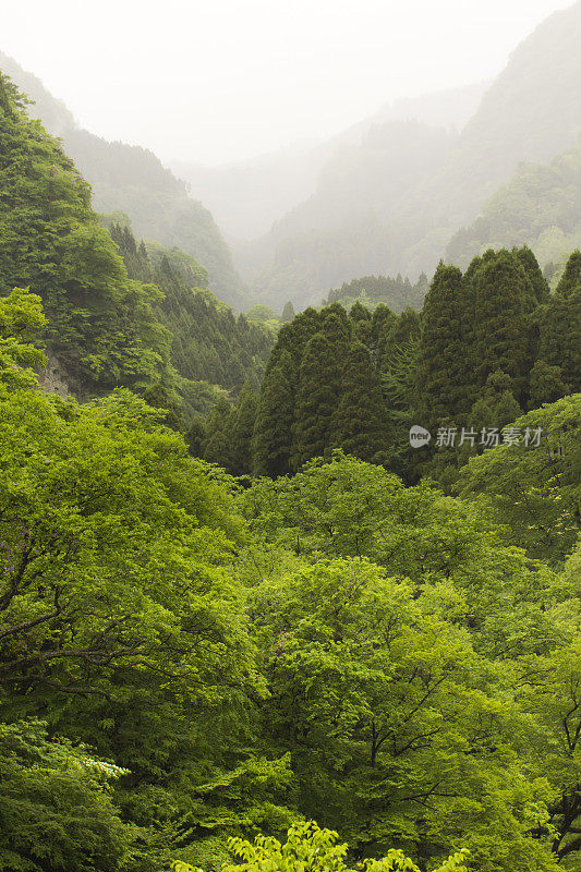 九州的山谷和山脉