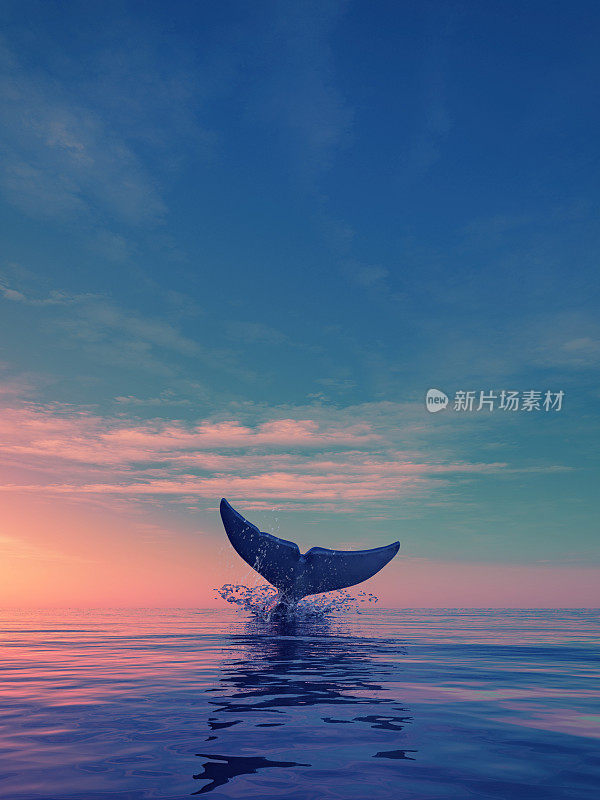 一只鲸鱼在日落时潜水