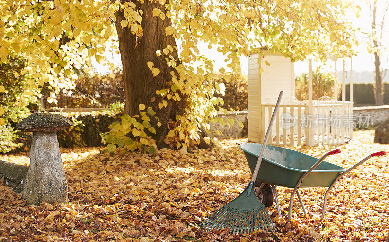 有耙子和独轮手推车的秋季花园景象