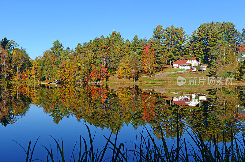 秋天的树叶反射在湖，阿迪朗达克，纽约