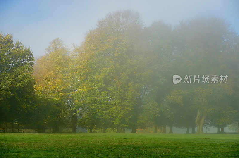 多雾的早晨